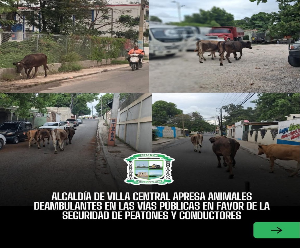 Apresan animales sueltos para prevenir accidentes en Villa Central